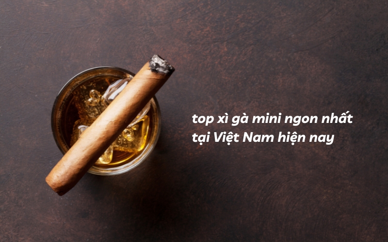 top xì gà ngon nhất